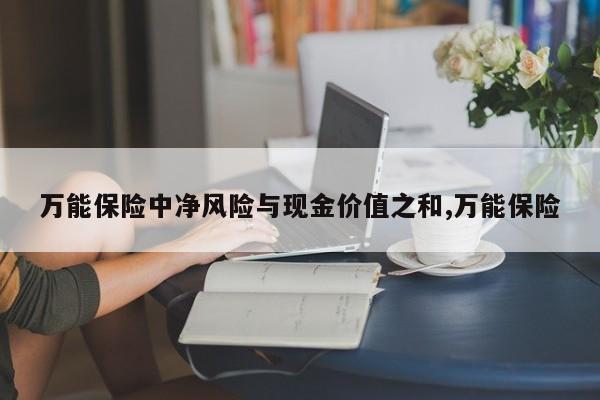 万能保险中净风险与现金价值之和,万能保险