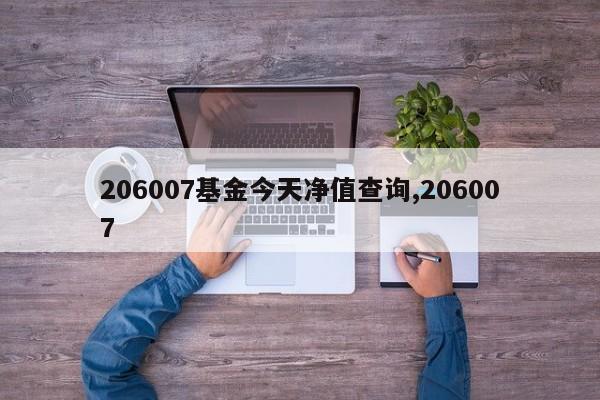 206007基金今天净值查询,206007