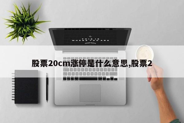 股票20cm涨停是什么意思,股票2