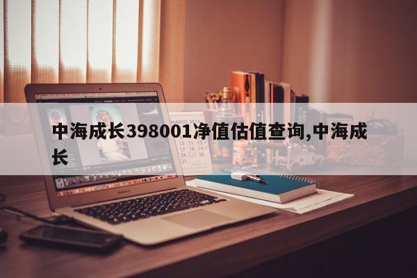 中海成长398001净值估值查询,中海成长