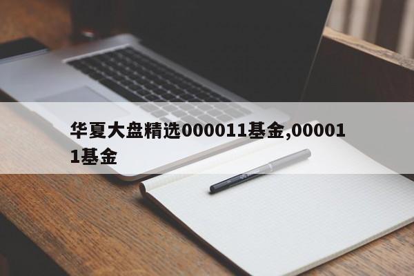 华夏大盘精选000011基金,000011基金