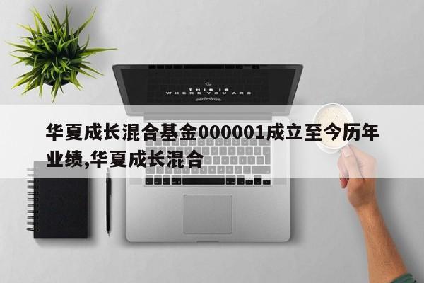 华夏成长混合基金000001成立至今历年业绩,华夏成长混合