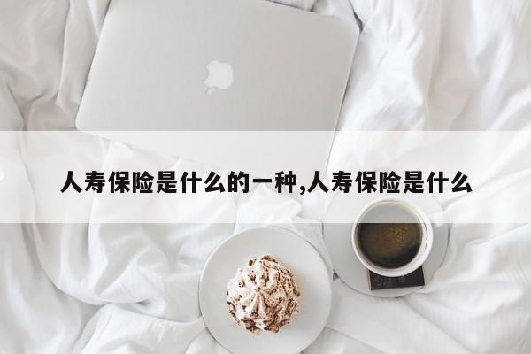 人寿保险是什么的一种,人寿保险是什么