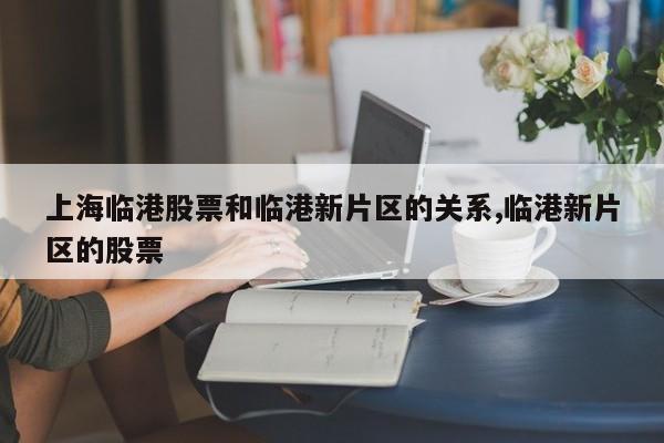 上海临港股票和临港新片区的关系,临港新片区的股票