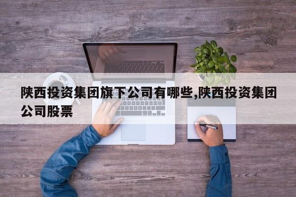 陕西投资集团旗下公司有哪些,陕西投资集团公司股票