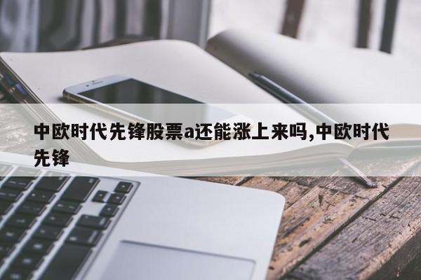 中欧时代先锋股票a还能涨上来吗,中欧时代先锋