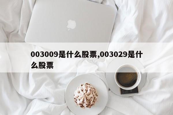 003009是什么股票,003029是什么股票